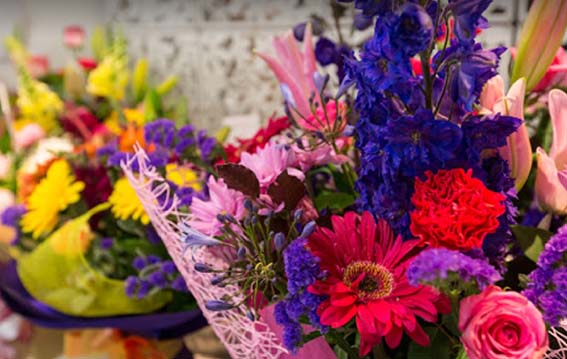 Thank you messages and testimonials reviewing our service for flower delivery in Auckland